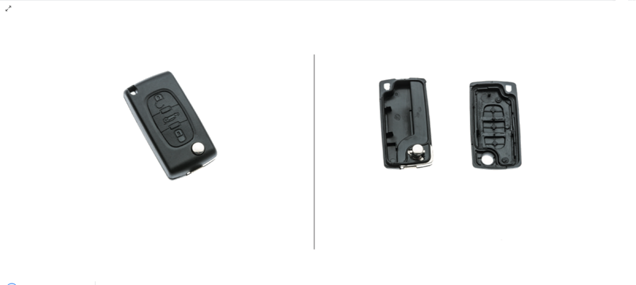 Lege behuizing CITROEN/PEUGEOT PE3BA